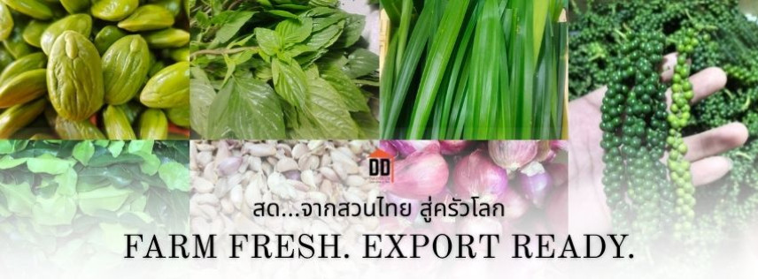 Connecting Thai Farmers to the World via DDThai23